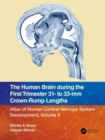 The Human Brain during the First Trimester 31- to 33-mm Crown-Rump Lengths : Atlas of Human Central Nervous System Development, Volume 5 - Book