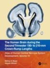 The Human Brain during the Second Trimester 190– to 210–mm Crown-Rump Lengths : Atlas of Human Central Nervous System Development, Volume 10 - Book