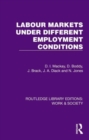 Labour Markets Under Different Employment Conditions - Book