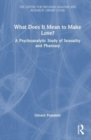 What Does It Mean to 'Make' Love? : A Psychoanalytic Study of Sexuality and Phantasy - Book