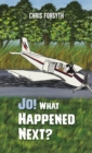Jo! What Happened Next? - eBook