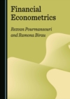 Financial Econometrics - eBook