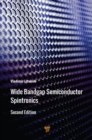 Wide Bandgap Semiconductor Spintronics - eBook