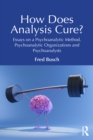 How Does Analysis Cure? : Essays on a Psychoanalytic Method, Psychoanalytic Organizations and Psychoanalysts - eBook