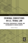 Criminal Convictions in U.S. Tribal Law : Collateral Consequences, Pardons, and Expungements in Indian Country - eBook