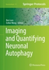 Imaging and Quantifying Neuronal Autophagy - eBook