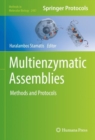 Multienzymatic Assemblies : Methods and Protocols - eBook