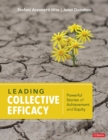 Leading Collective Efficacy : Powerful Stories of Achievement and Equity - Book