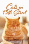 Cats on 13th Street - eBook