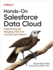 Hands-On Salesforce Data Cloud : Implementing and Managing a Real-Time Customer Data Platform - eBook