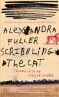 Scribbling the Cat - eBook