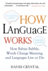 How Language Works - eBook