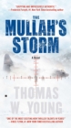 Mullah's Storm - eBook