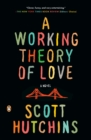 Working Theory of Love - eBook