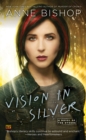 Vision In Silver - eBook