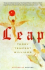 Leap - eBook