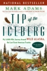 Tip of the Iceberg - eBook