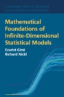 Mathematical Foundations of Infinite-Dimensional Statistical Models - Book