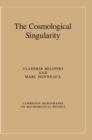 The Cosmological Singularity - Book