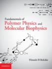 Fundamentals of Polymer Physics and Molecular Biophysics - Book