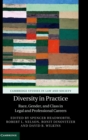 Diversity in Practice : Race, Gender, and Class in Legal and Professional Careers - Book