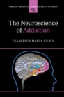 The Neuroscience of Addiction - Book