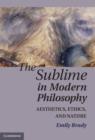 Sublime in Modern Philosophy : Aesthetics, Ethics, and Nature - eBook