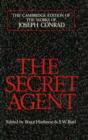 Secret Agent : A Simple Tale - eBook