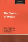 The Syntax of Welsh - Book