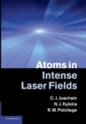 Atoms in Intense Laser Fields - Book