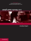 Small Arms Survey 2013 : Everyday Dangers - eBook