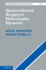 Quasiconformal Surgery in Holomorphic Dynamics - eBook