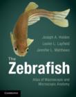The Zebrafish : Atlas of Macroscopic and Microscopic Anatomy - Book
