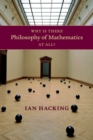 Why Is There Philosophy of Mathematics At All? - Book