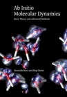 Ab Initio Molecular Dynamics : Basic Theory and Advanced Methods - Book