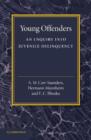 Young Offenders : An Enquiry into Juvenile Delinquency - Book
