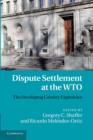 Dispute Settlement at the WTO : The Developing Country Experience - Book