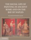 The Social Life of Painting in Ancient Rome and on the Bay of Naples - Book