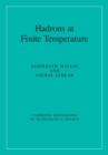 Hadrons at Finite Temperature - eBook