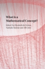 What is a Mathematical Concept? - eBook