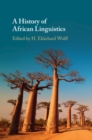 History of African Linguistics - eBook