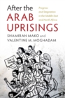 After the Arab Uprisings : Progress and Stagnation in the Middle East and North Africa - Book