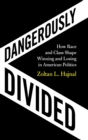 Dangerously Divided : How Race and Class Shape Winning and Losing in American Politics - Book