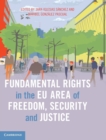 Fundamental Rights in the EU Area of Freedom, Security and Justice - Book