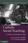 Catholic Social Teaching : A Volume of Scholarly Essays - eBook