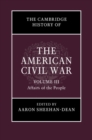 Cambridge History of the American Civil War: Volume 3, Affairs of the People - eBook