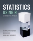 Statistics Using R : An Integrative Approach - eBook