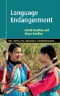 Language Endangerment - eBook