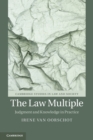 The Law Multiple : Judgment and Knowledge in Practice - Book