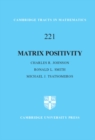 Matrix Positivity - eBook